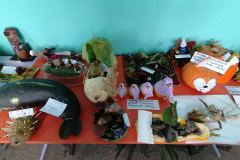 IMG-829a8b853021d7f2191267f9762fcb45-V